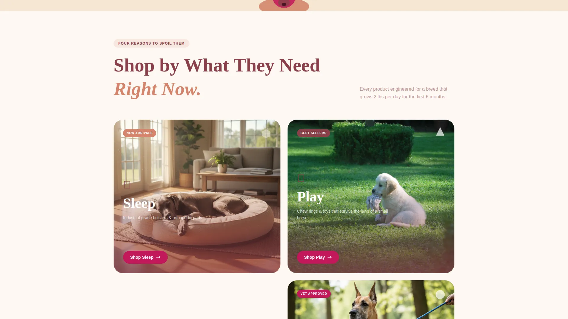 Great Dane Puppy Supplies Landing Page Template