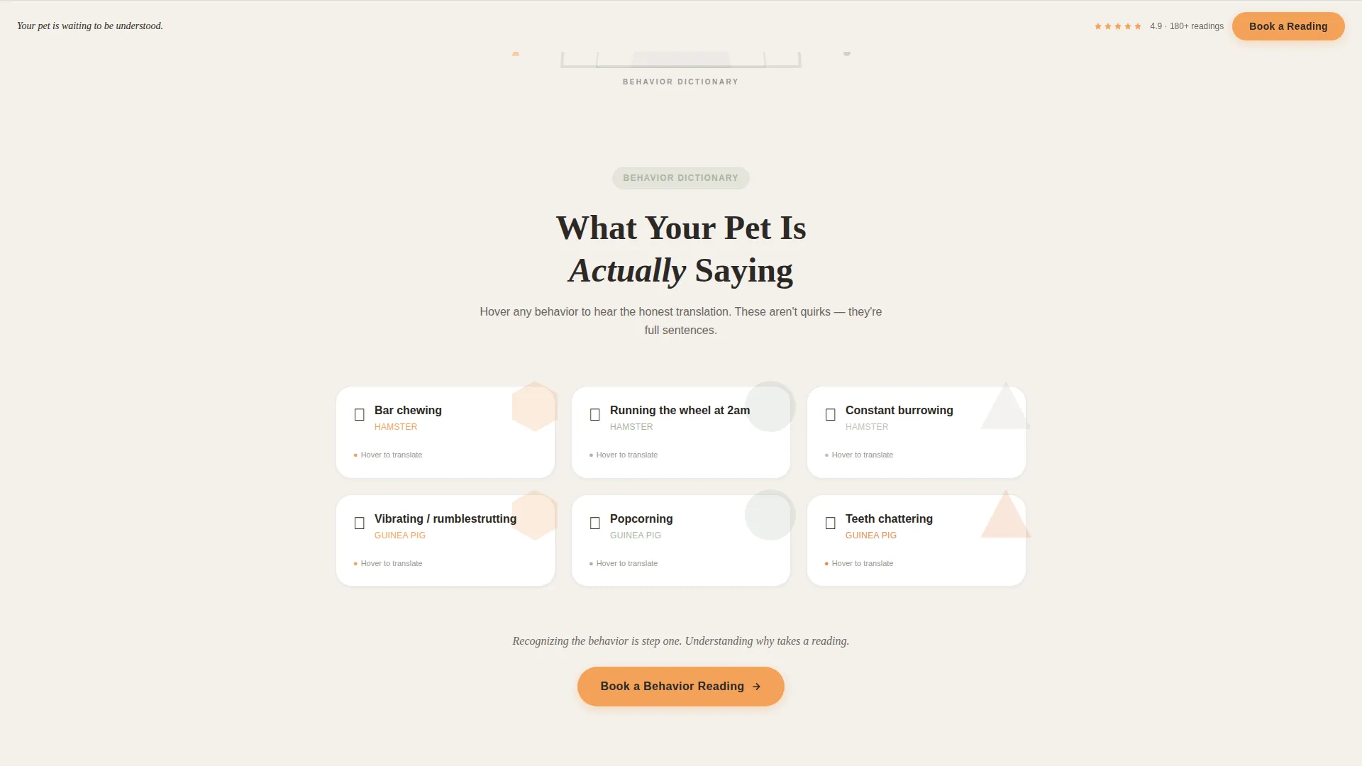 Hamster & Guinea Pig Behavior Consultant Landing Page