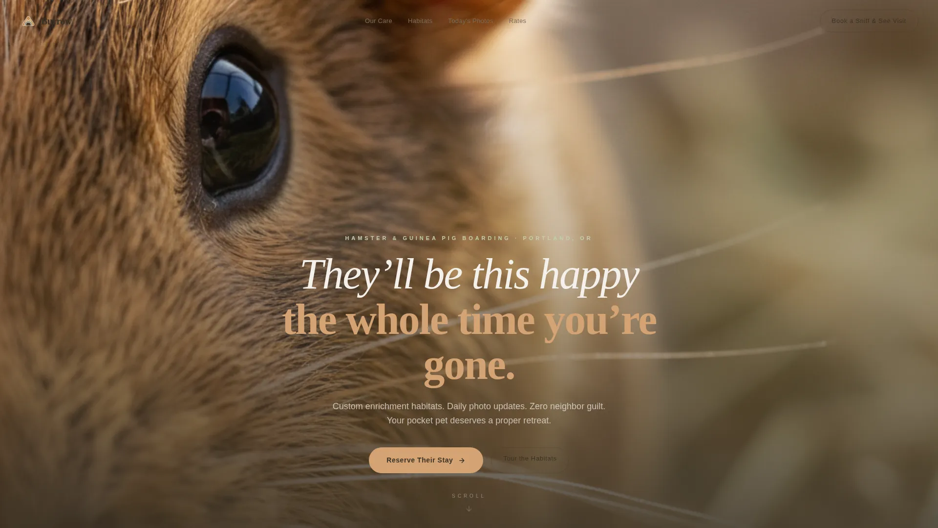 Cozy Hamster & Guinea Pig Boarding Landing Page
