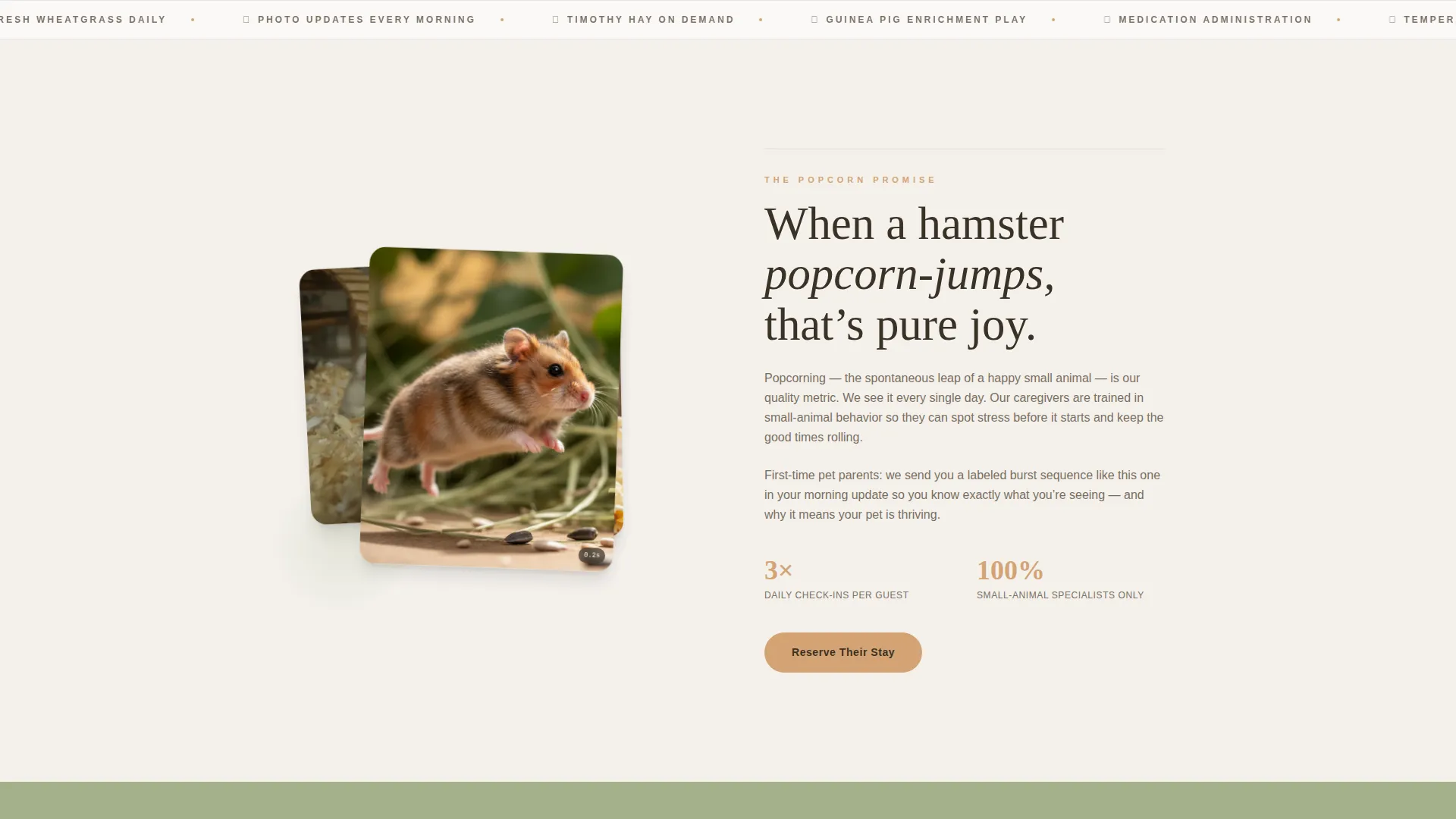 Cozy Hamster & Guinea Pig Boarding Landing Page