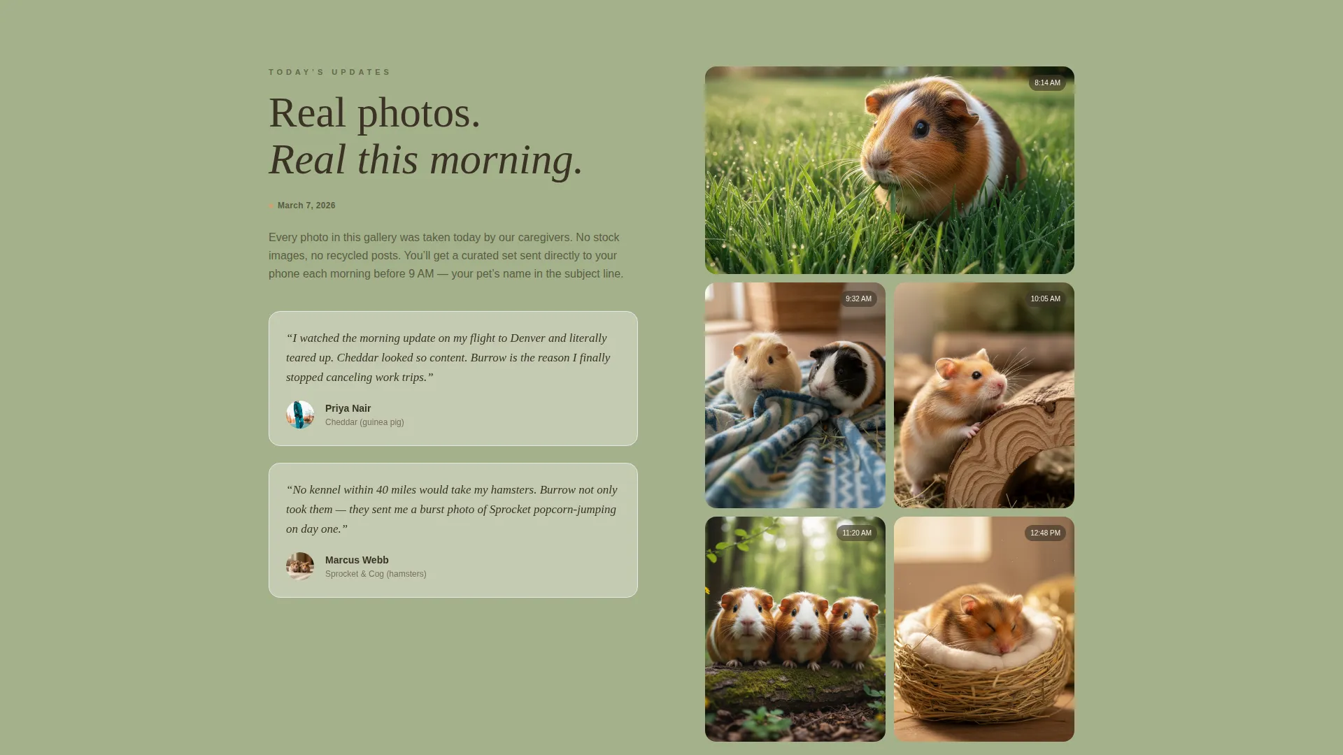 Cozy Hamster & Guinea Pig Boarding Landing Page