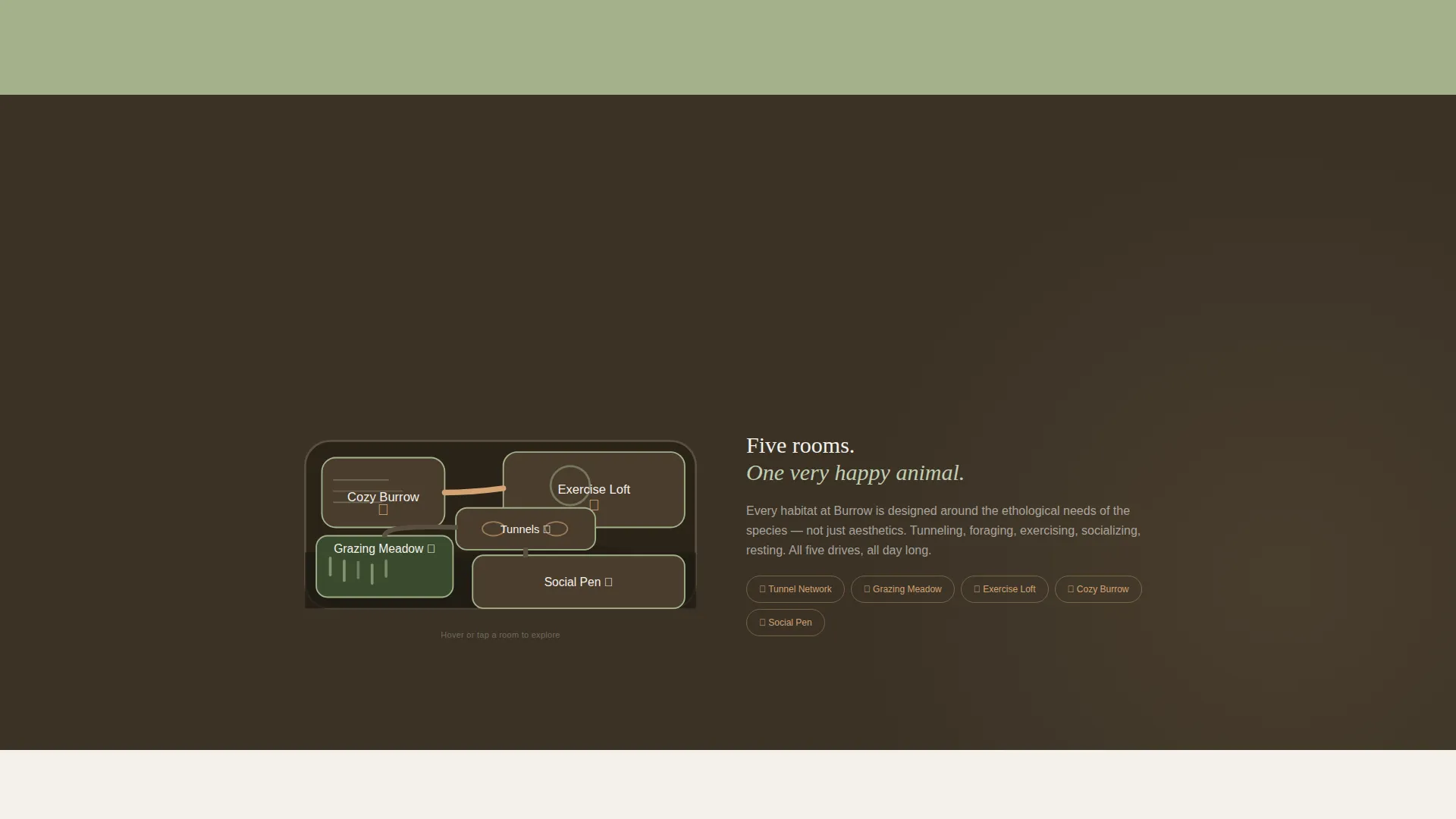 Cozy Hamster & Guinea Pig Boarding Landing Page