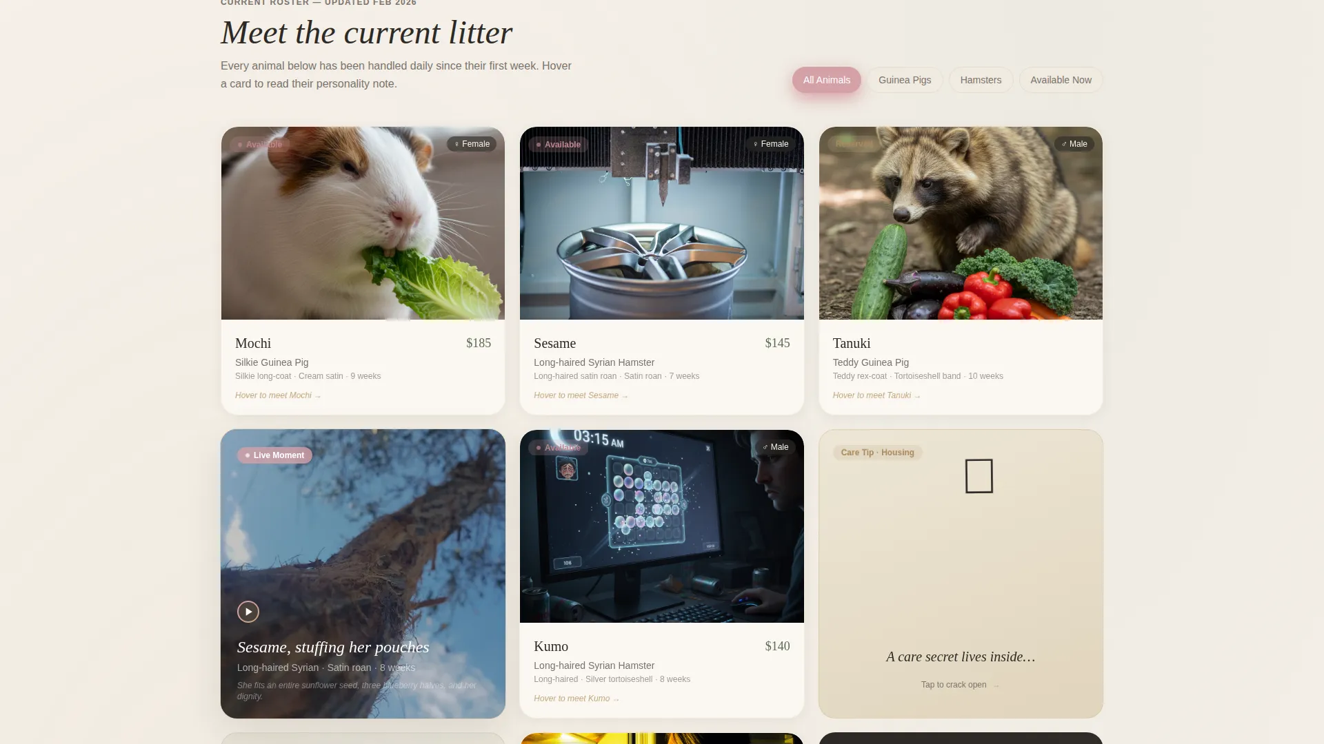 Hamster & Guinea Pig Breeder Landing Page Template