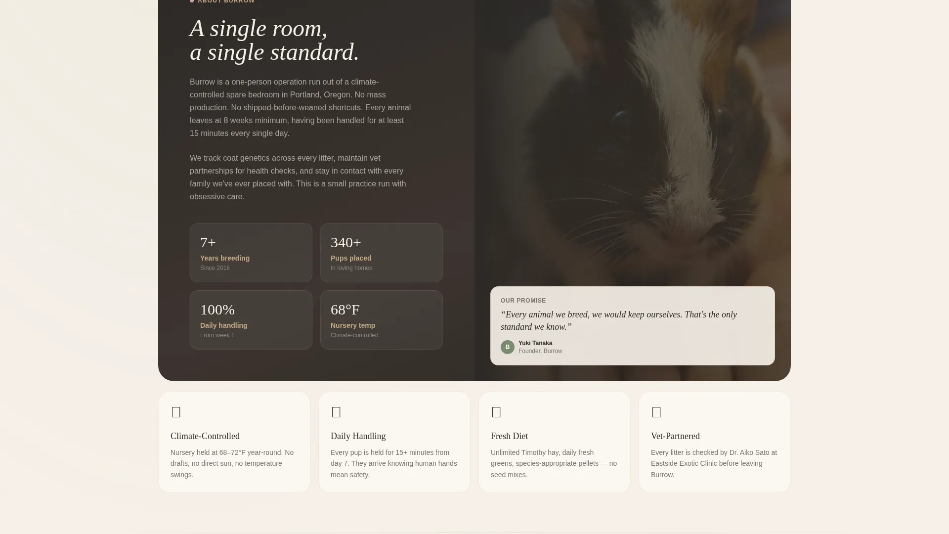 Hamster & Guinea Pig Breeder Landing Page Template