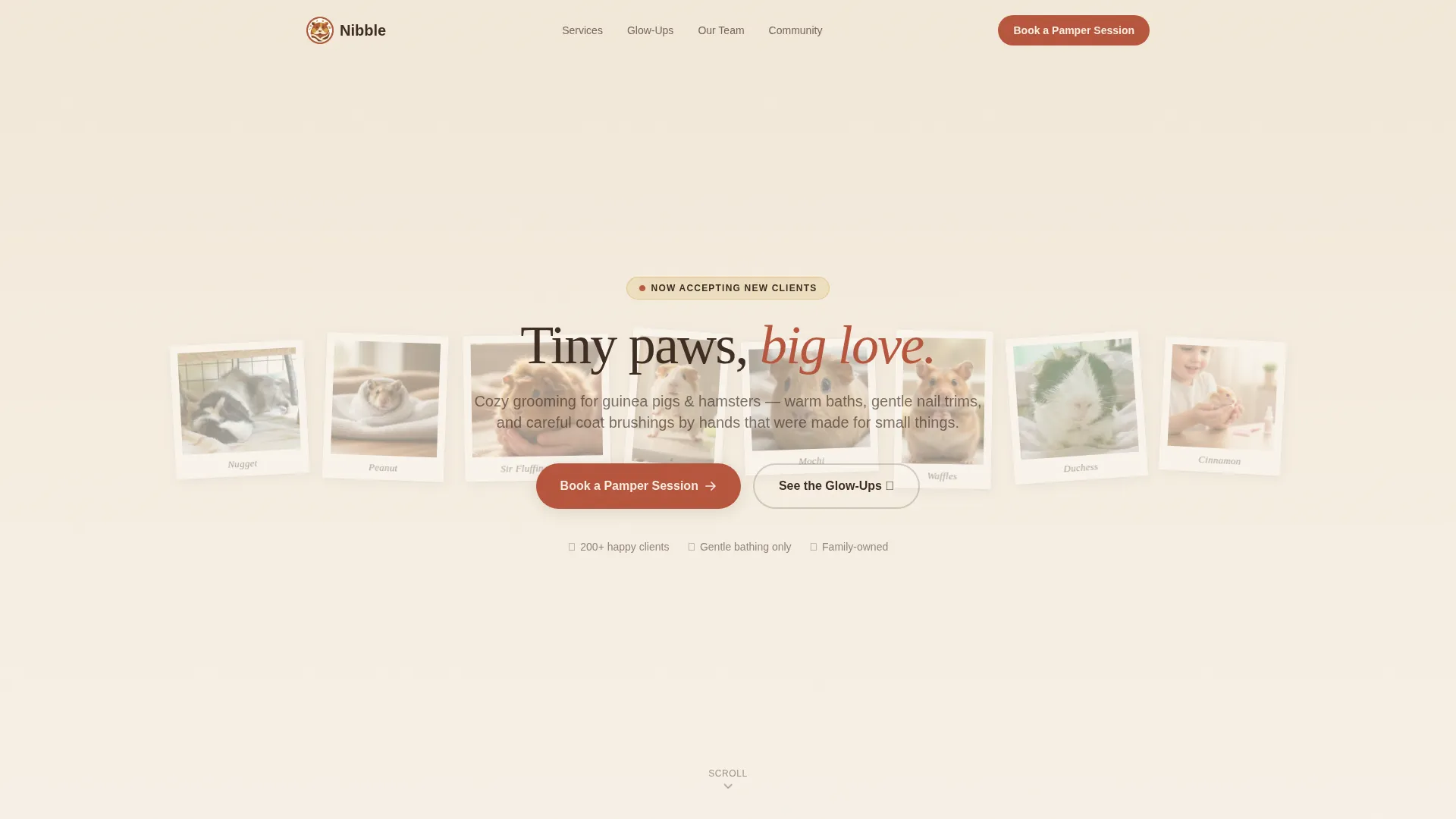 Hamster & Guinea Pig Grooming Landing Page Template