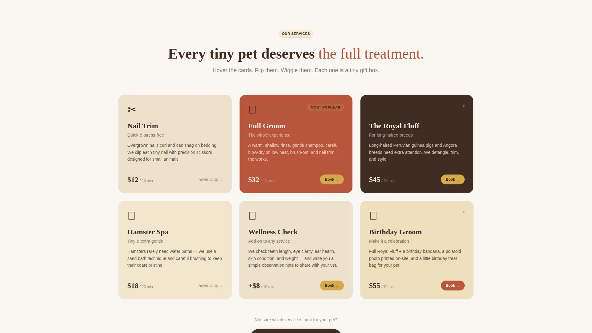 Hamster & Guinea Pig Grooming Landing Page Template