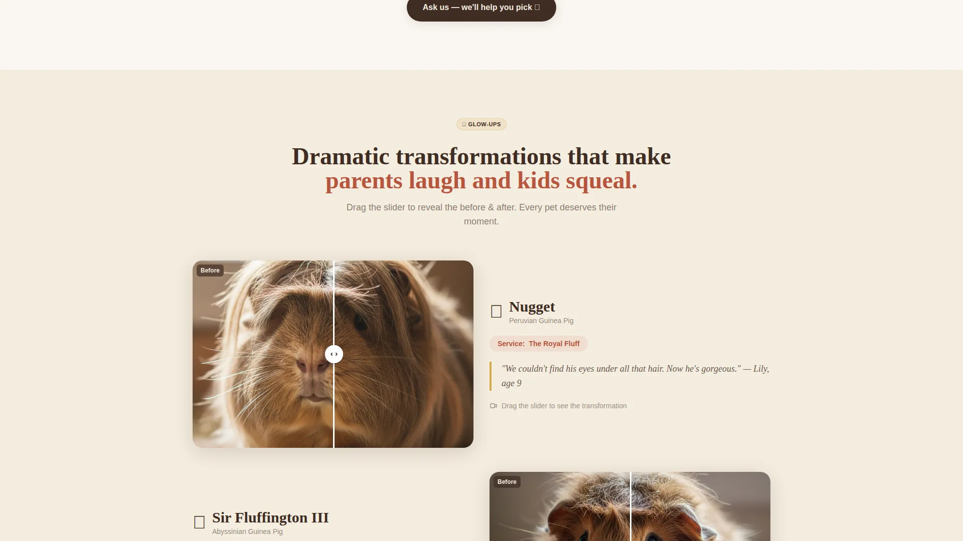 Hamster & Guinea Pig Grooming Landing Page Template