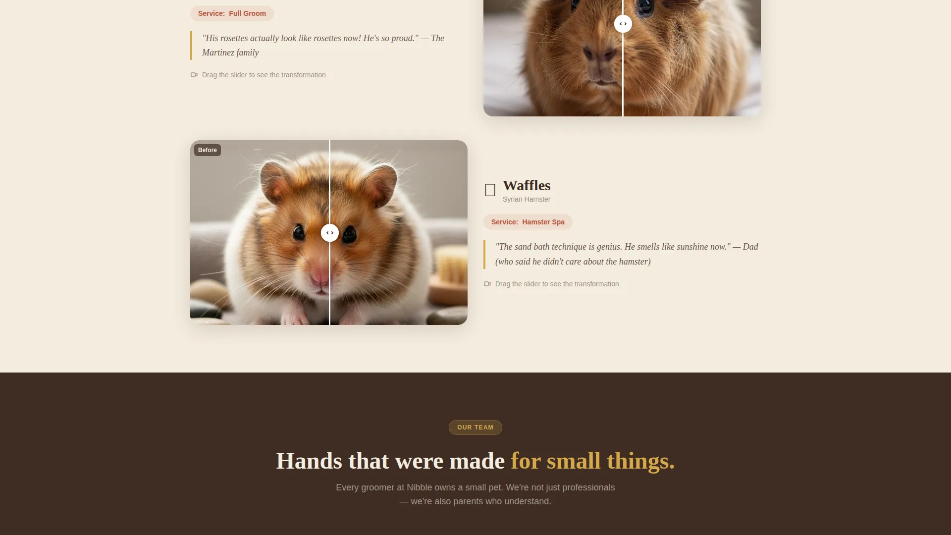 Hamster & Guinea Pig Grooming Landing Page Template