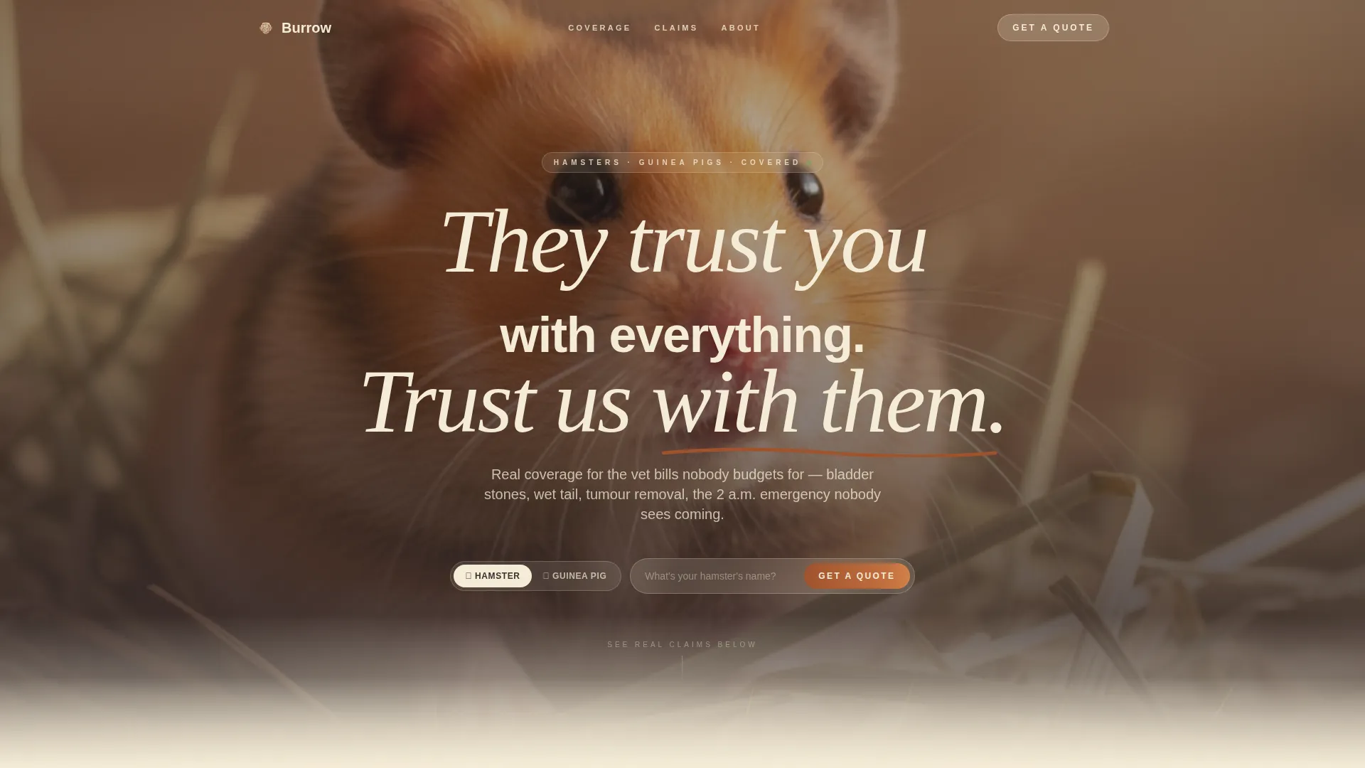 Hamster & Guinea Pig Insurance Landing Page Template