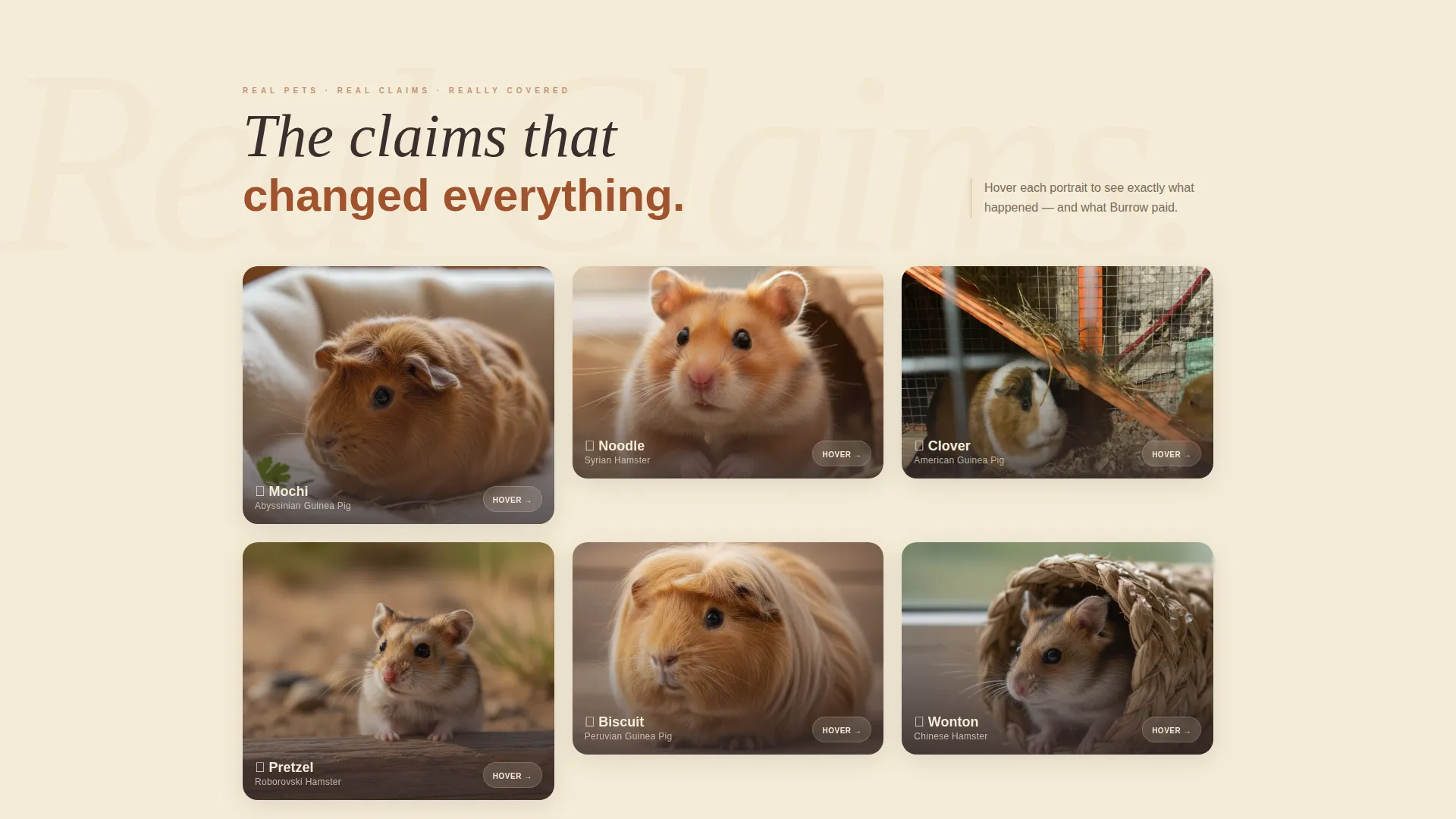 Hamster & Guinea Pig Insurance Landing Page Template