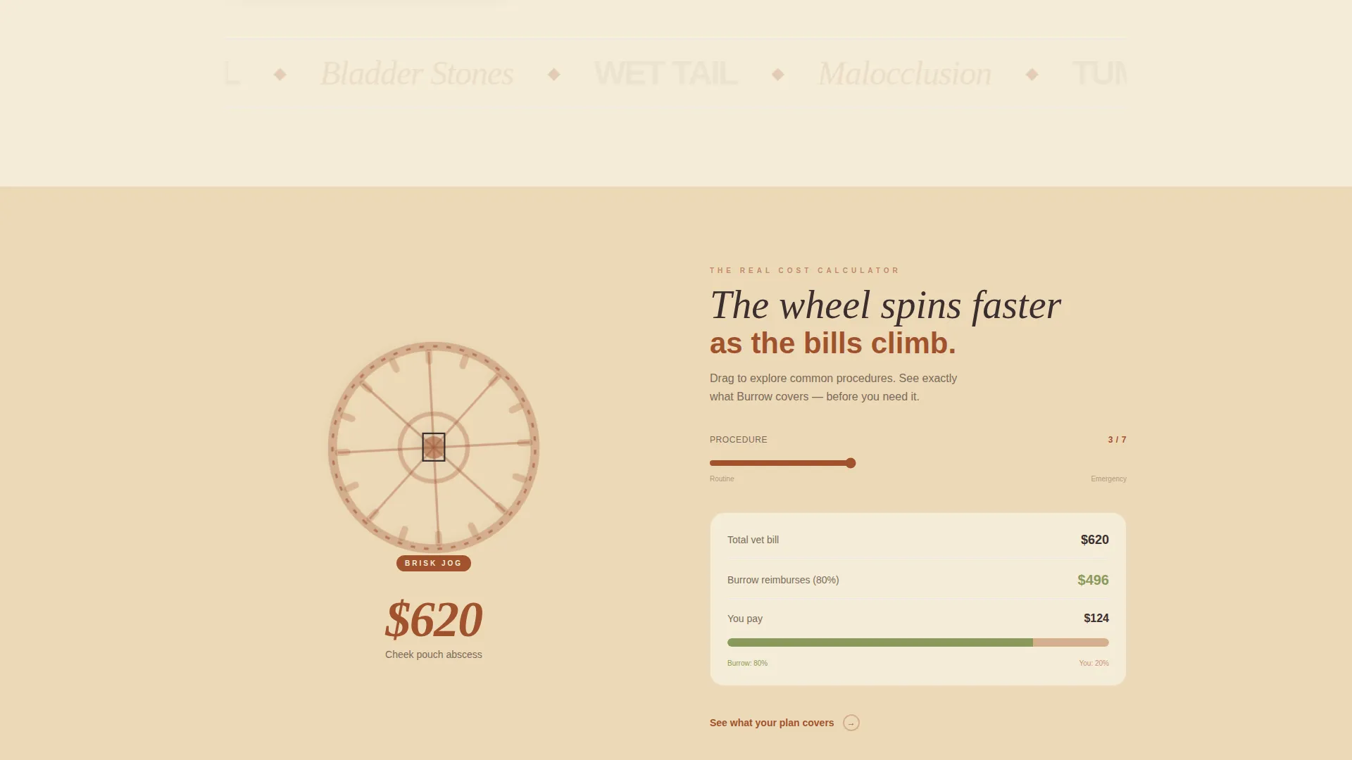 Hamster & Guinea Pig Insurance Landing Page Template
