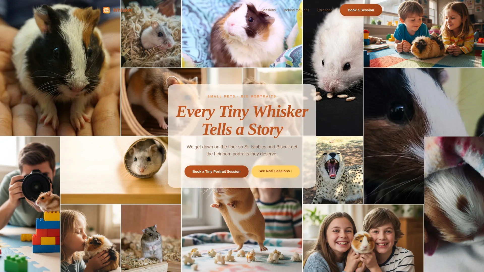 Hamster & Guinea Pig Photography Landing Page