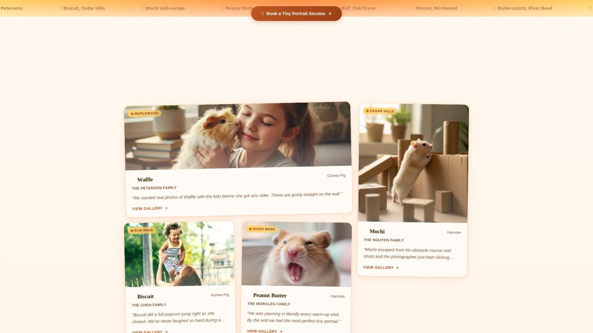 Hamster & Guinea Pig Photography Landing Page