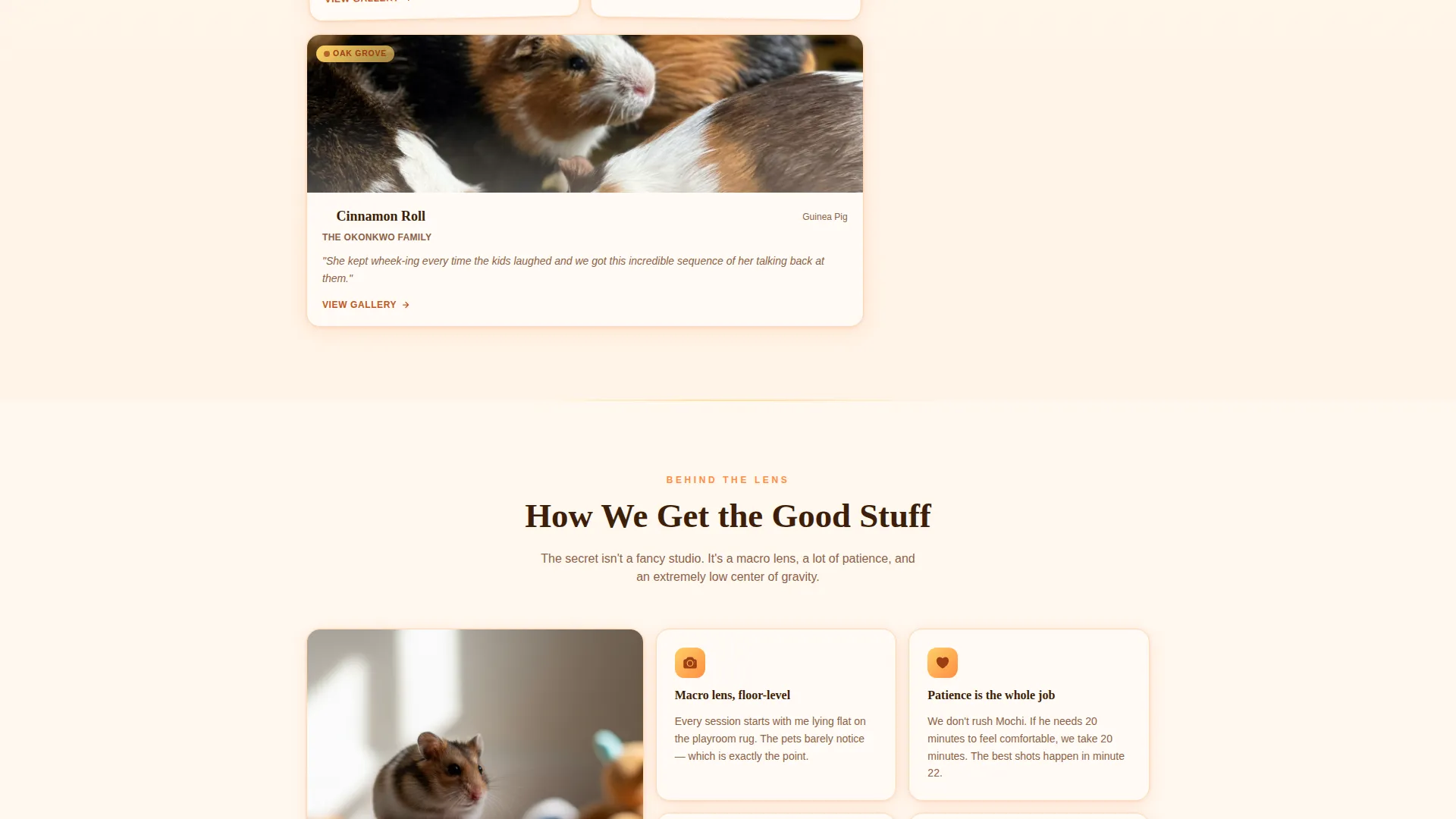 Hamster & Guinea Pig Photography Landing Page