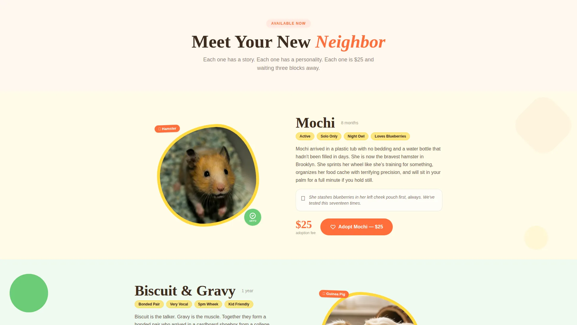 Hamster & Guinea Pig Rescue Landing Page Template