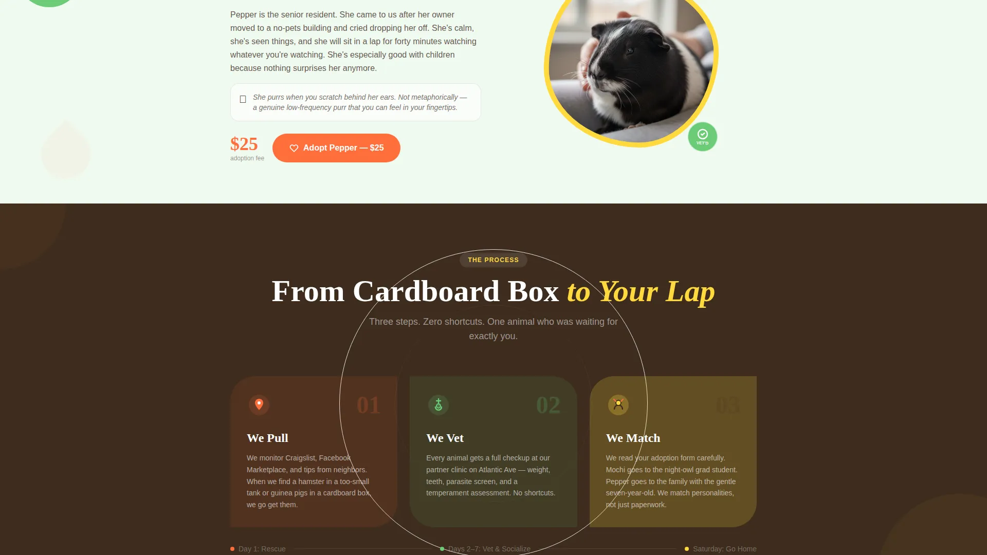 Hamster & Guinea Pig Rescue Landing Page Template