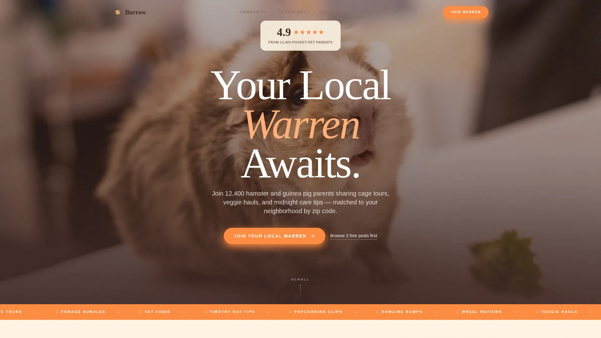 Hamster & Guinea Pig Community Landing Page Template