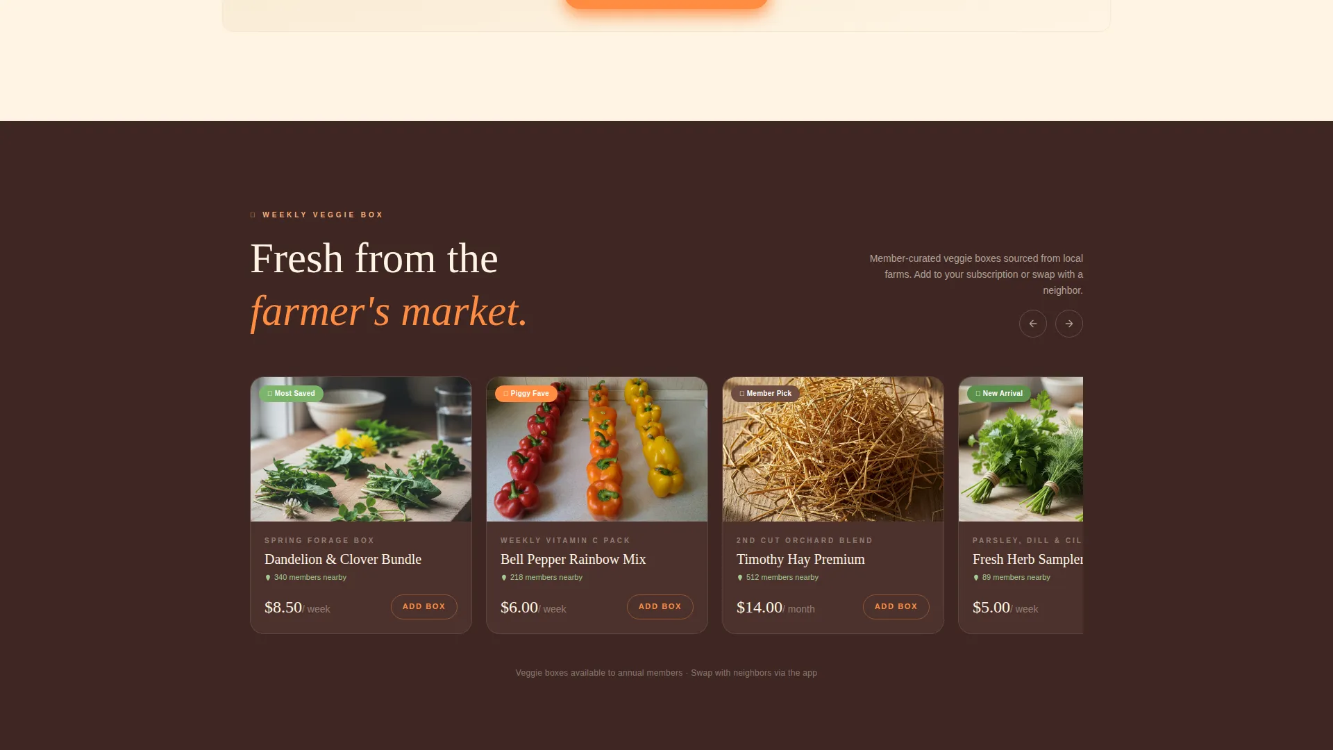 Hamster & Guinea Pig Community Landing Page Template