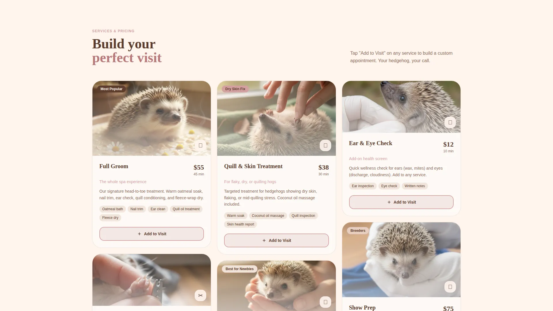 Specialist Hedgehog Services Appointment Booking Website Template