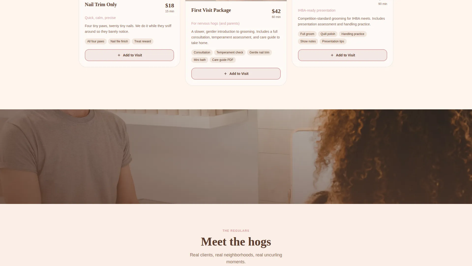 Specialist Hedgehog Services Appointment Booking Website Template