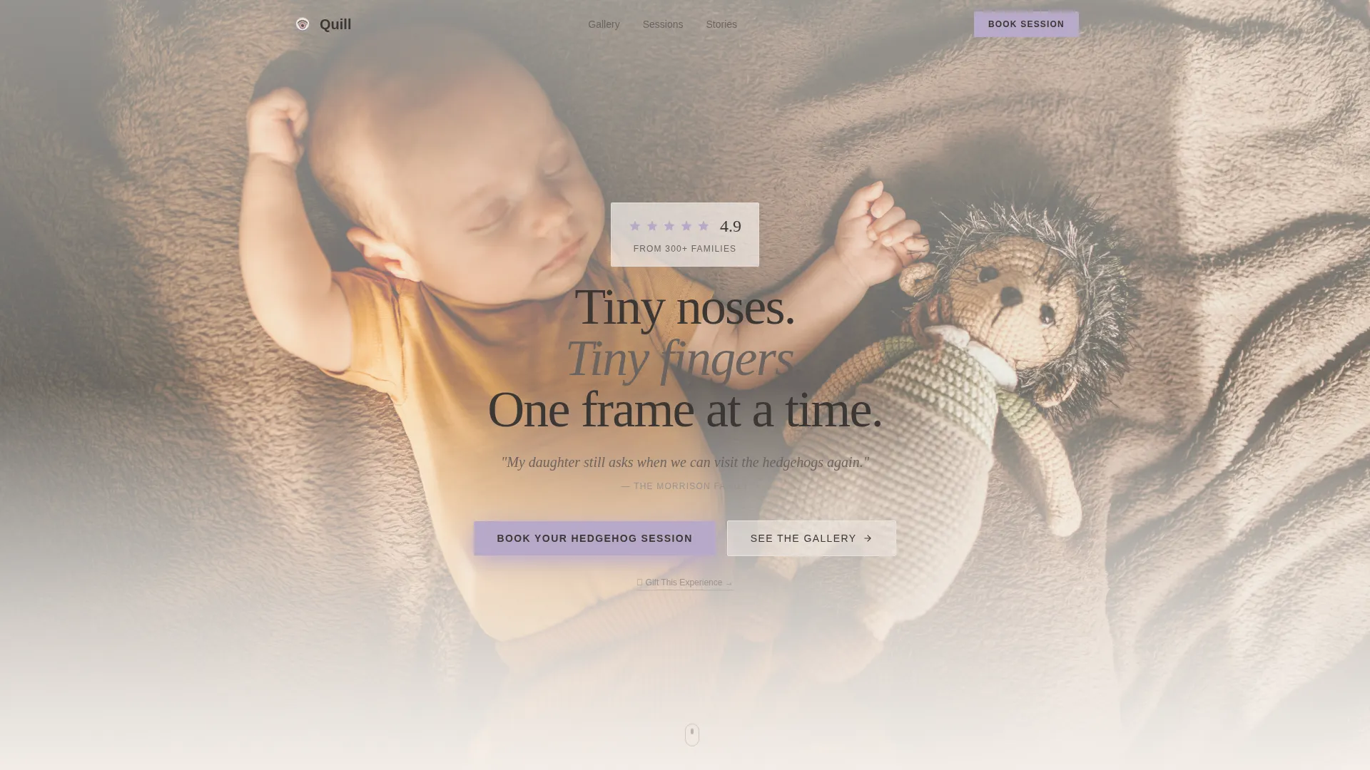 Expert Hedgehog Services Appointment Booking Website Template