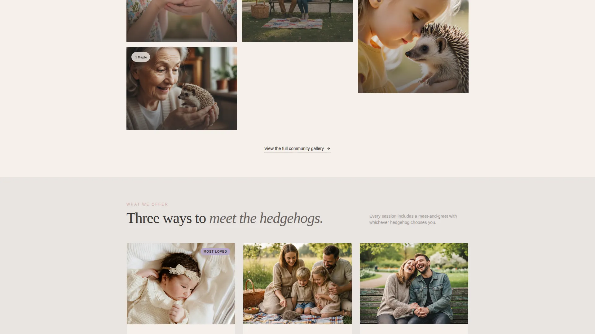 Expert Hedgehog Services Appointment Booking Website Template