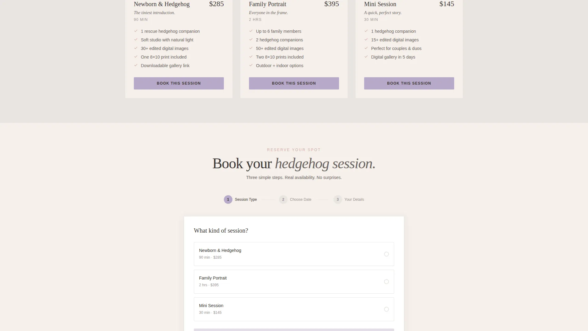 Expert Hedgehog Services Appointment Booking Website Template