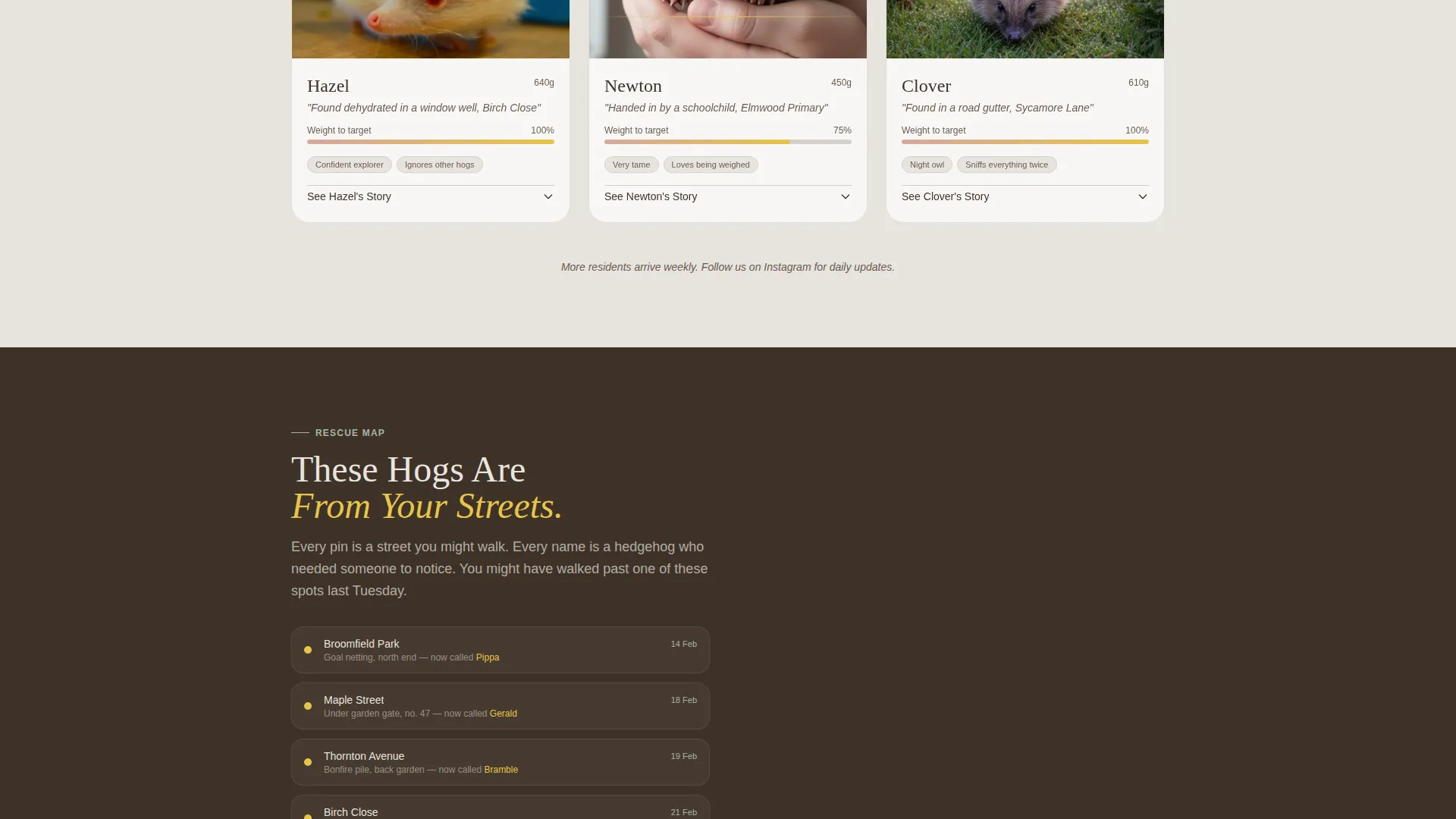 Hedgehog Services Portfolio & Case Study Website Template