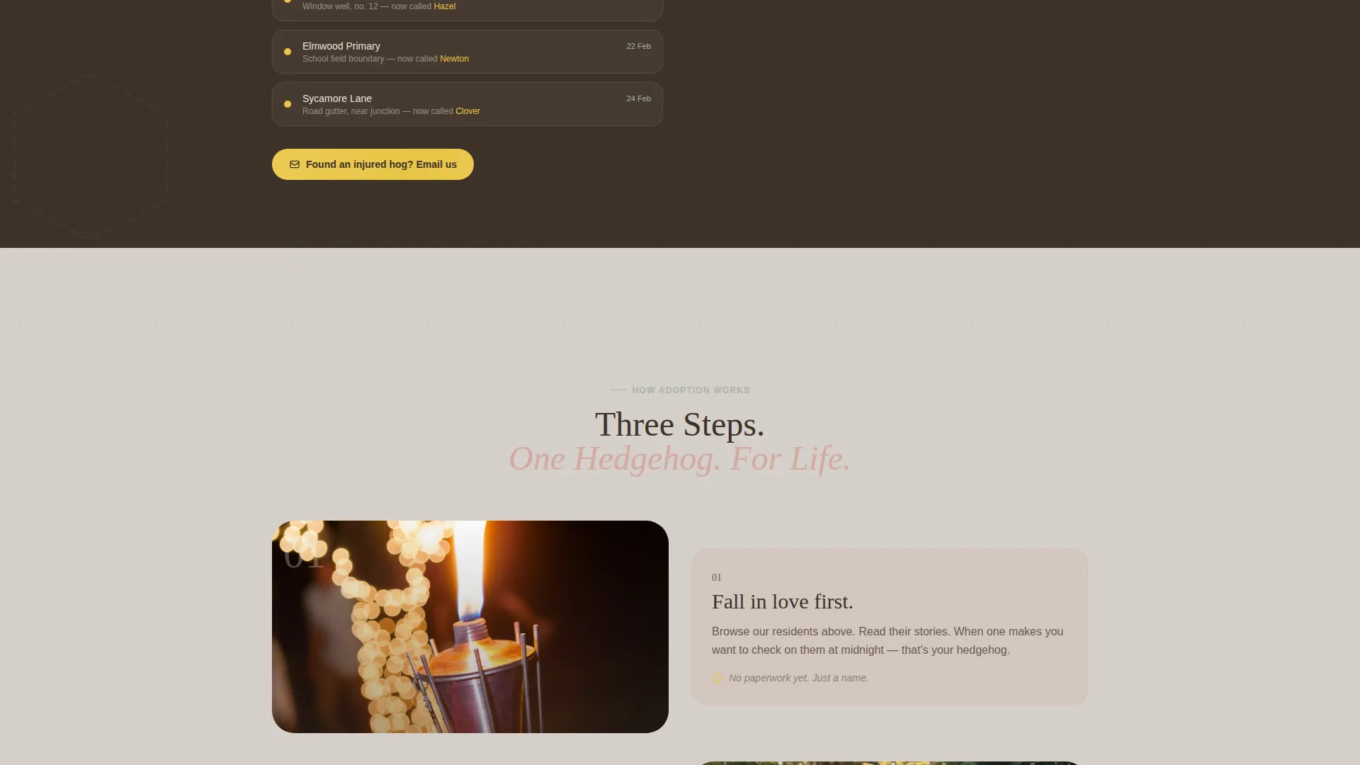 Hedgehog Services Portfolio & Case Study Website Template