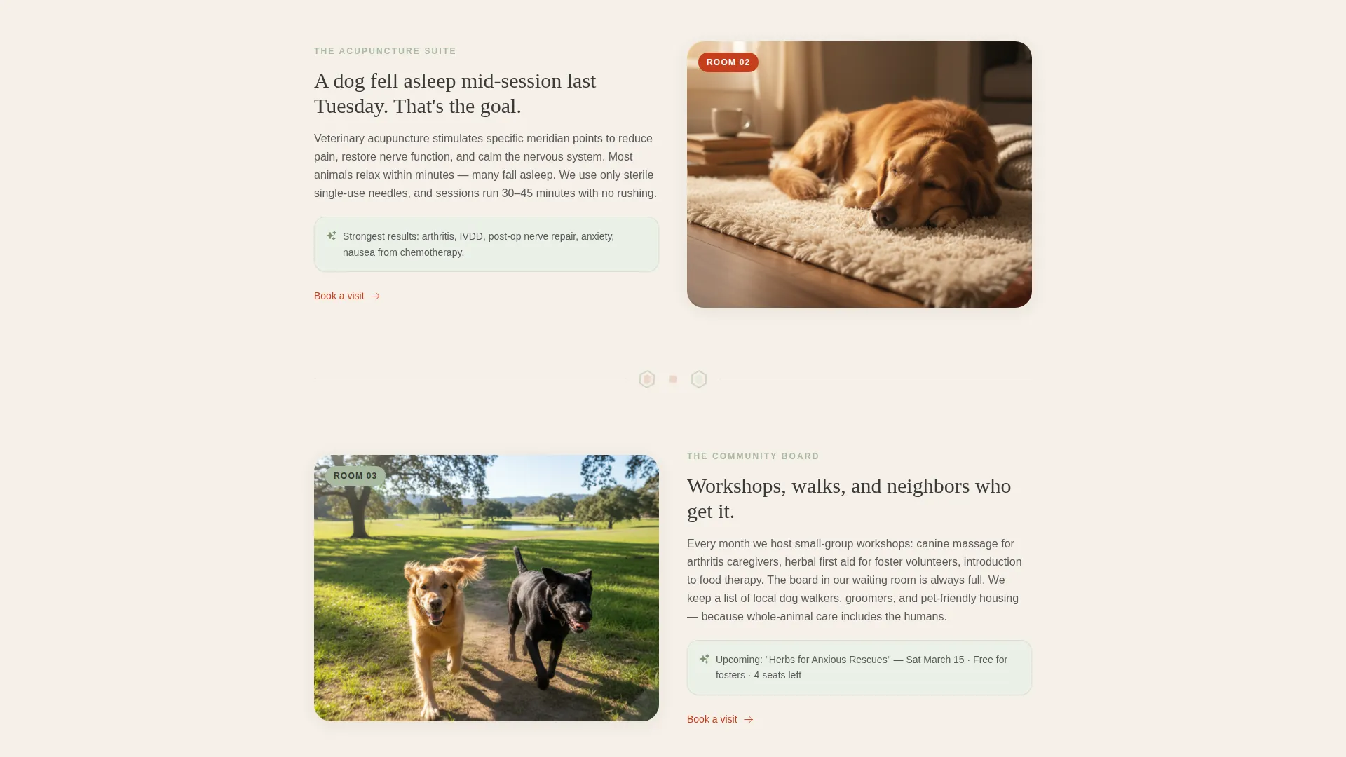Holistic Veterinary Landing Page Template