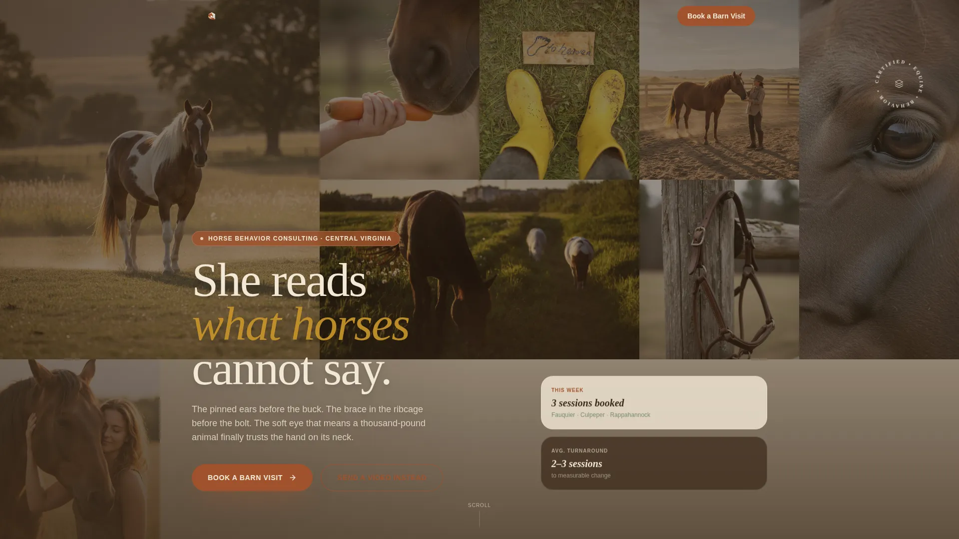 Horse Behavior Consultant Landing Page Template