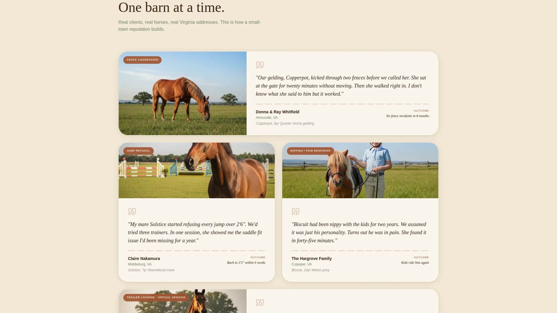 Horse Behavior Consultant Landing Page Template