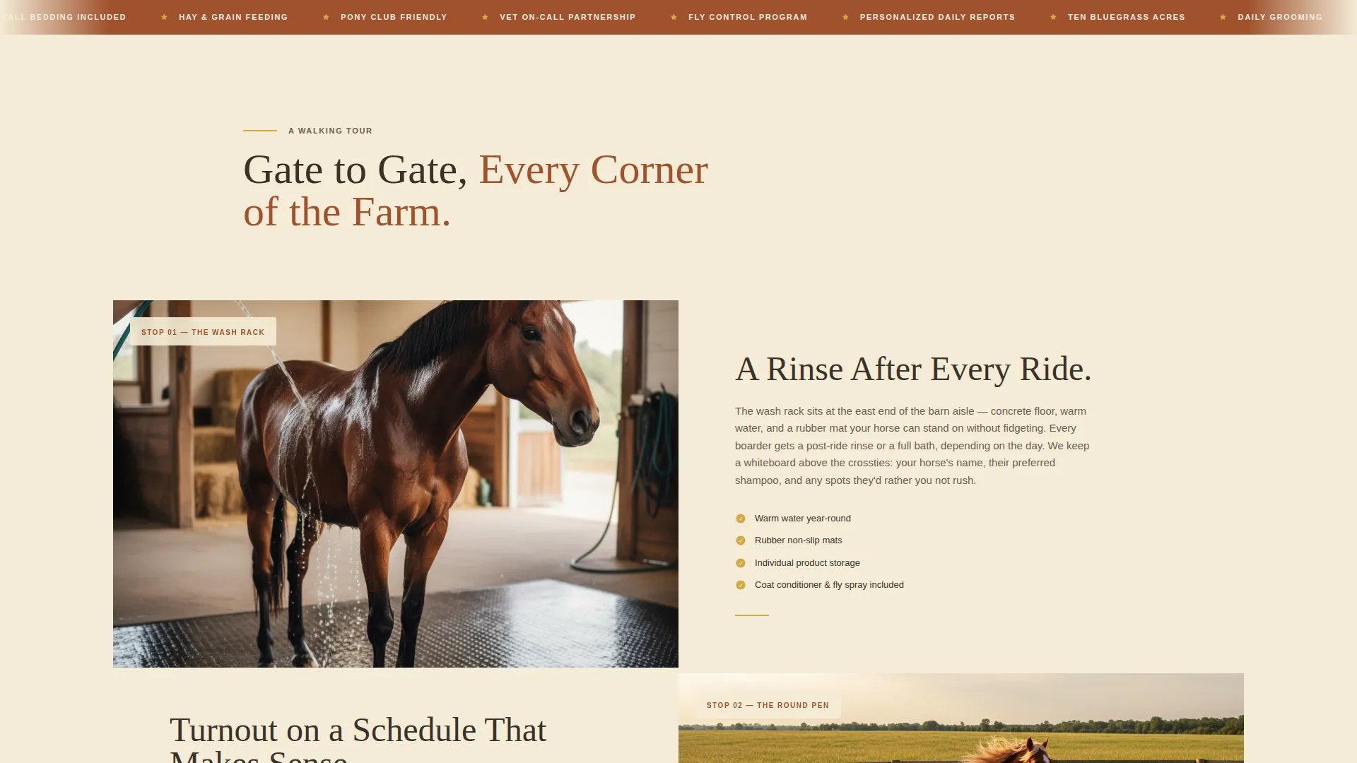 Horse Boarding & Daycare Landing Page Template