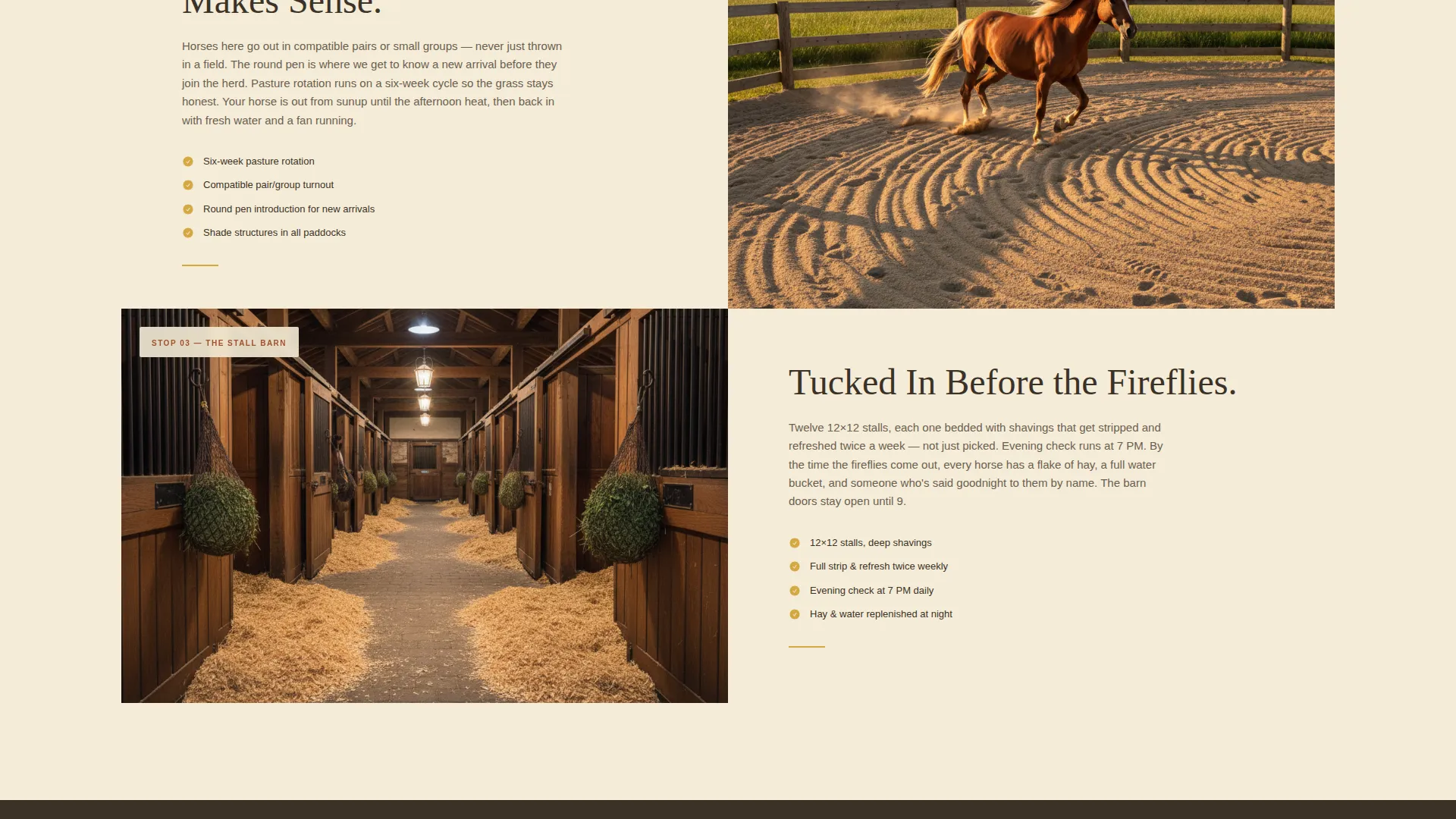 Horse Boarding & Daycare Landing Page Template
