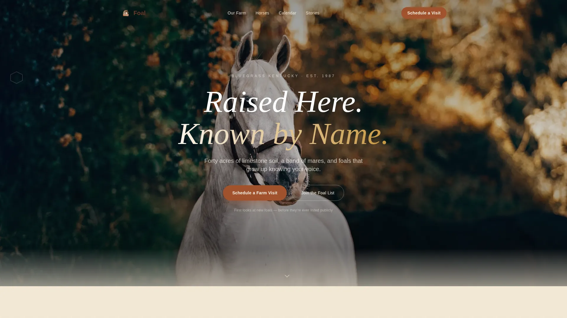 Horse Breeder Landing Page Template | Parchment & Rust
