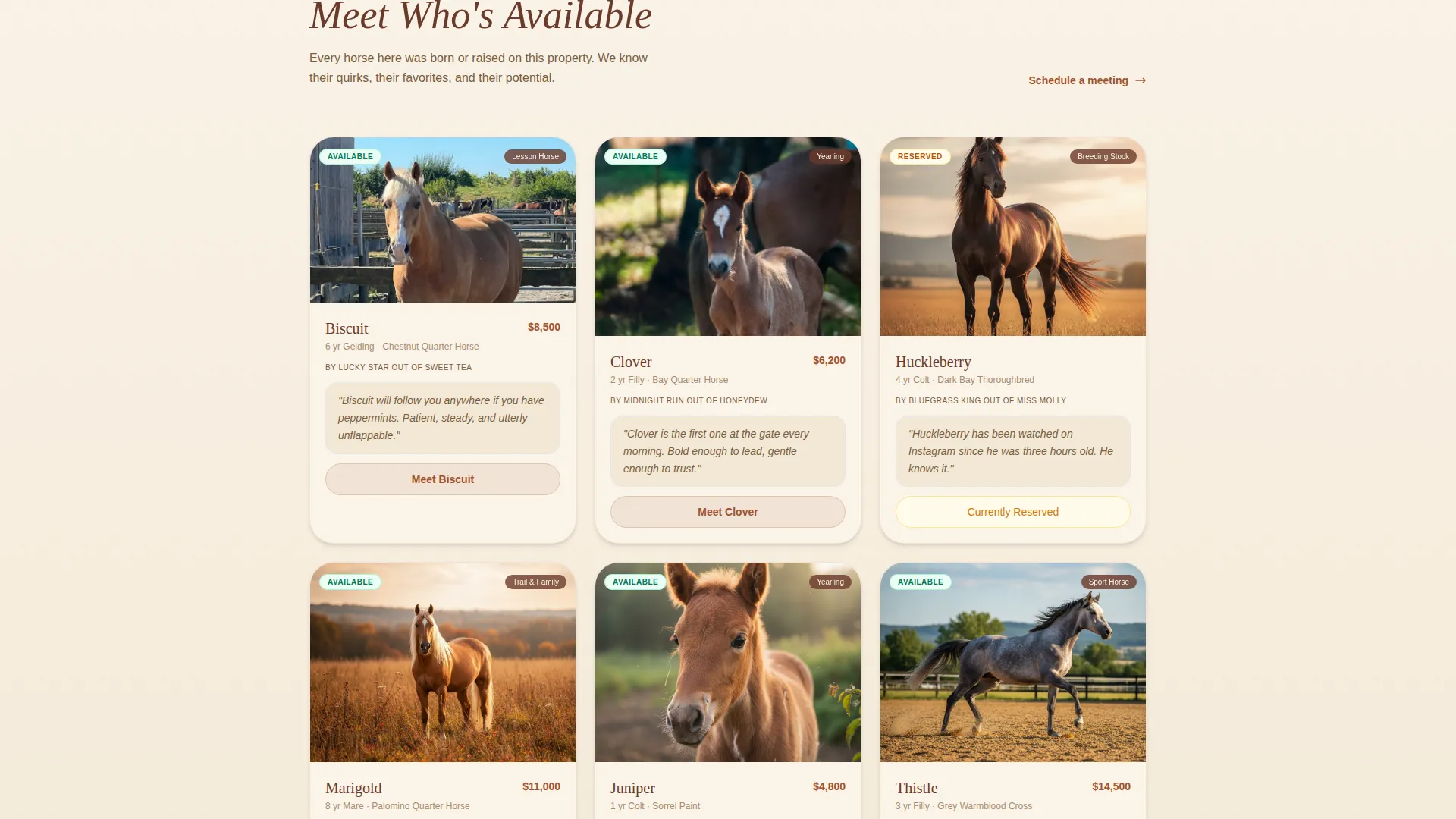 Horse Breeder Landing Page Template | Parchment & Rust