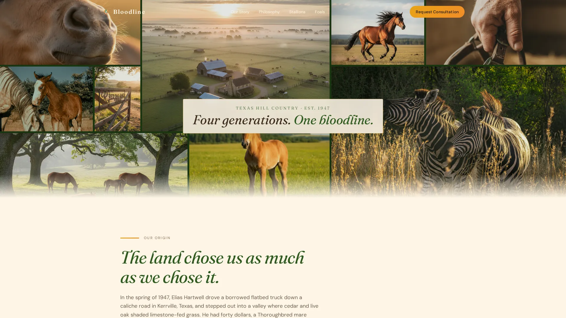 Horse Breeding Farm Landing Page Template