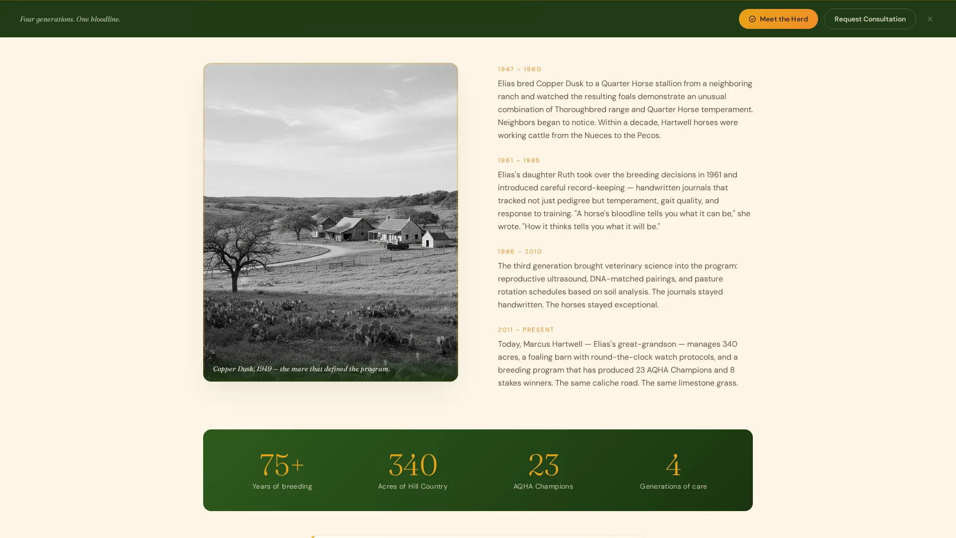 Horse Breeding Farm Landing Page Template