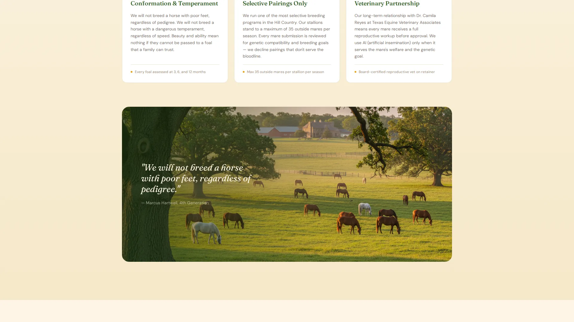 Horse Breeding Farm Landing Page Template