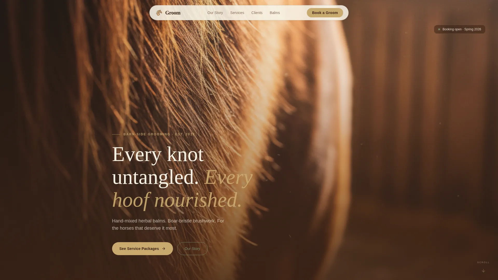 Earthy Horse Grooming Service Landing Page Template