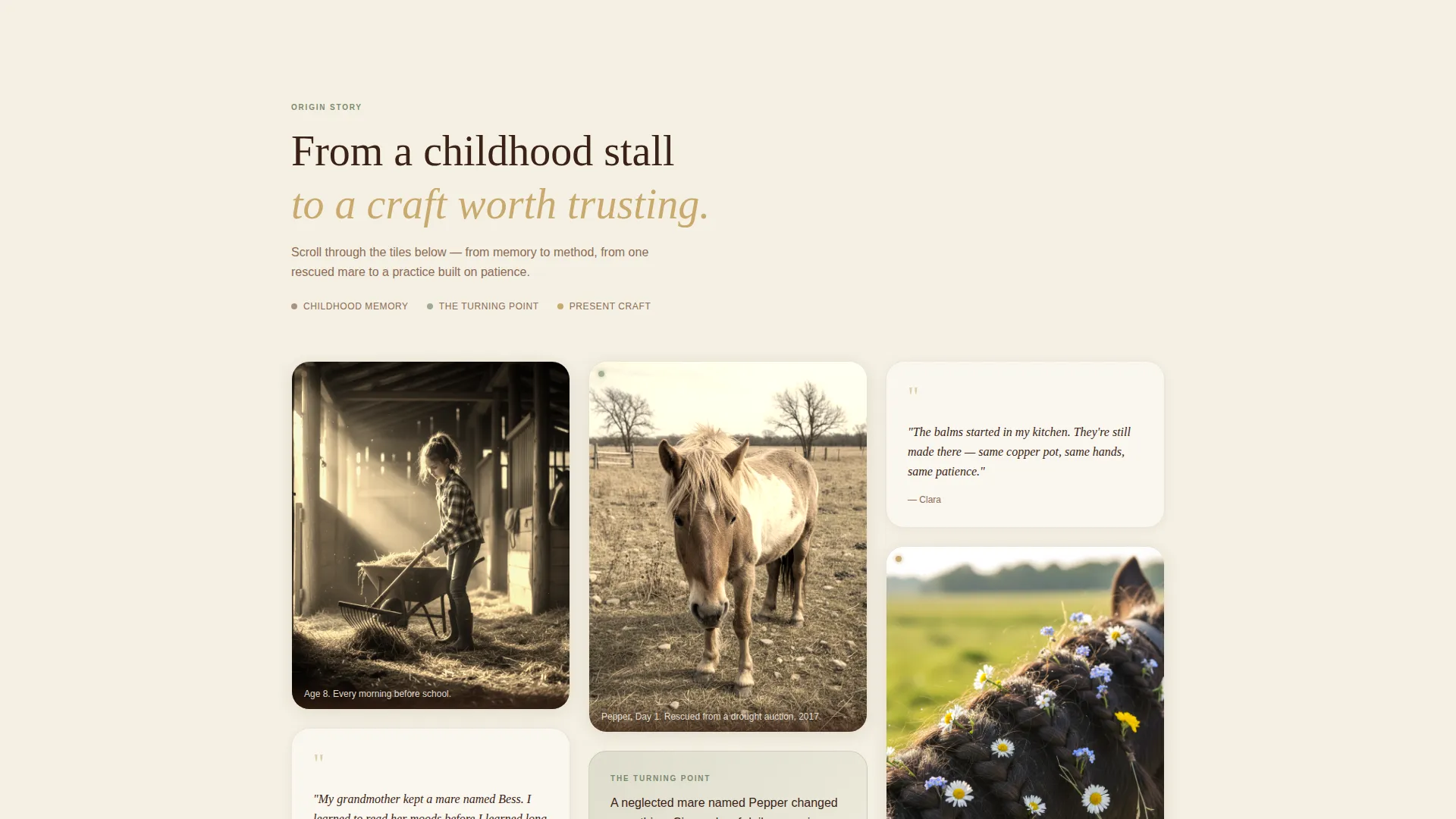 Earthy Horse Grooming Service Landing Page Template