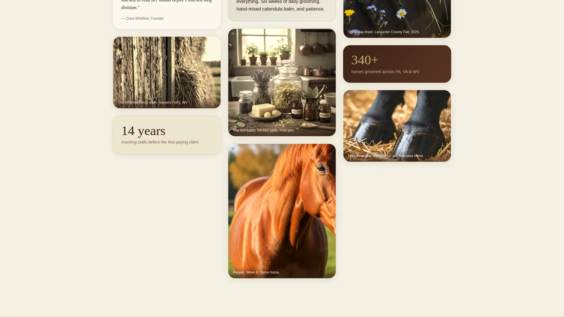 Earthy Horse Grooming Service Landing Page Template