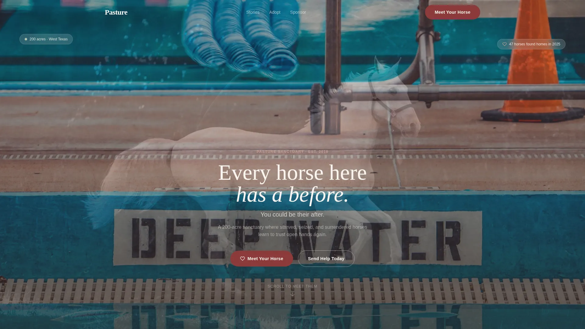 Horse Rescue & Adoption Landing Page Template