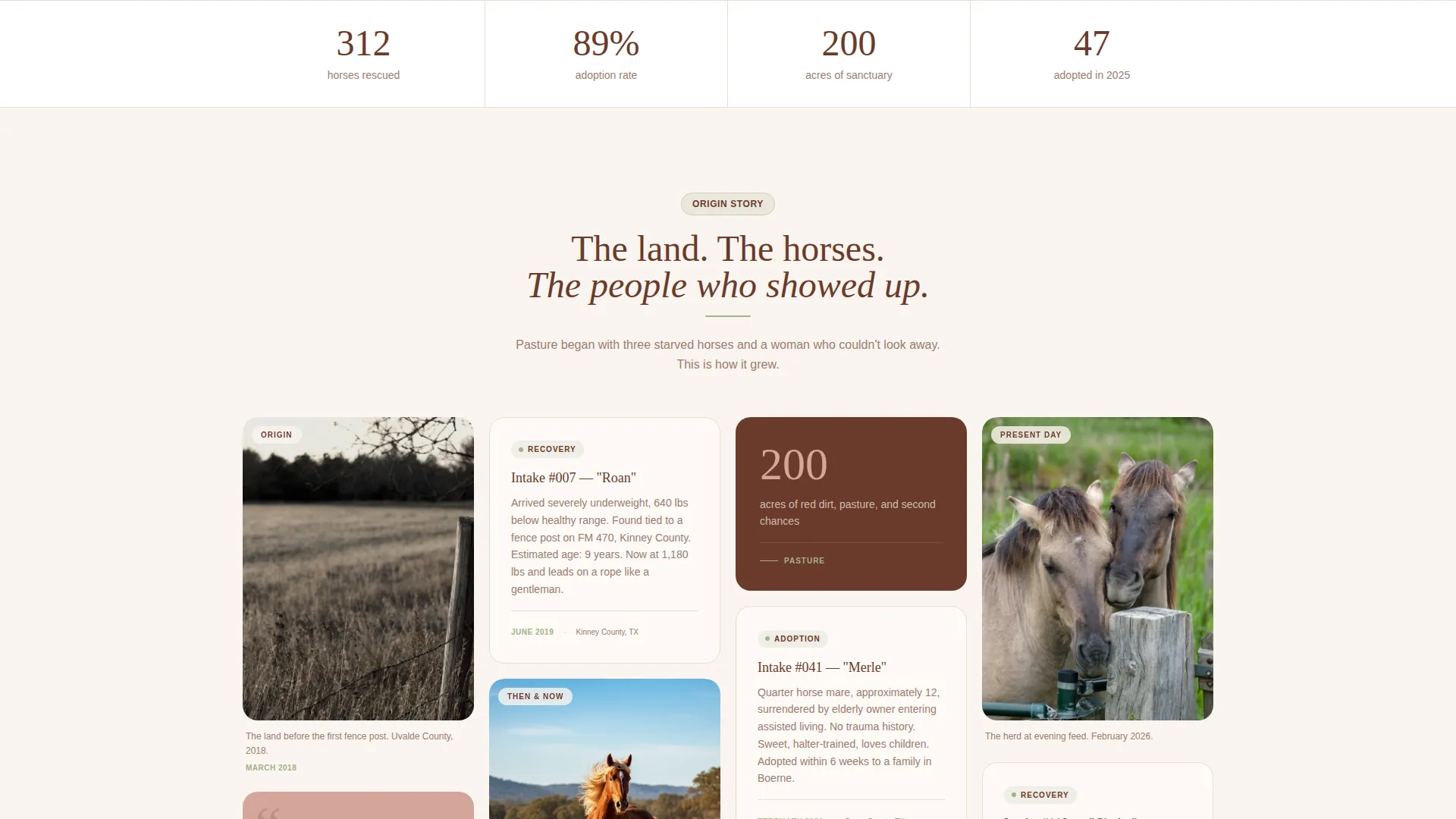 Horse Rescue & Adoption Landing Page Template