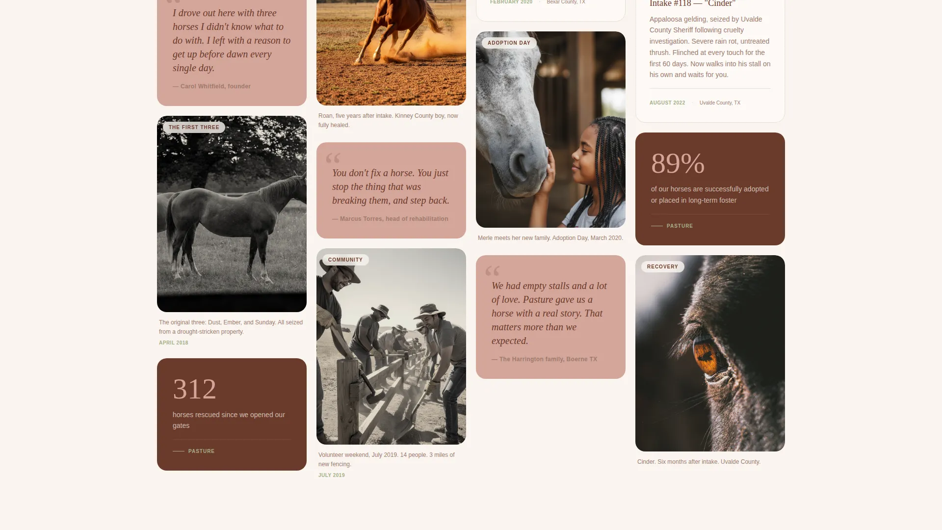 Horse Rescue & Adoption Landing Page Template