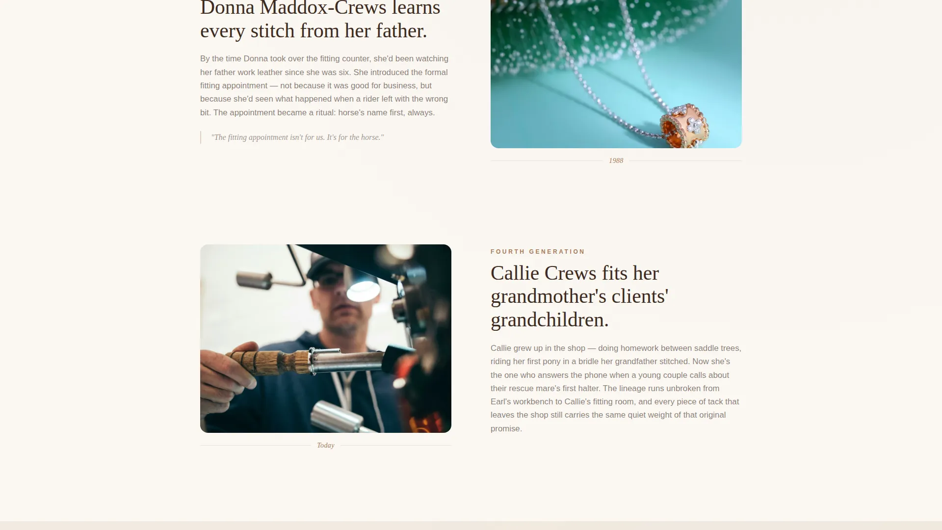 Horse Tack & Equipment Store Landing Page Template