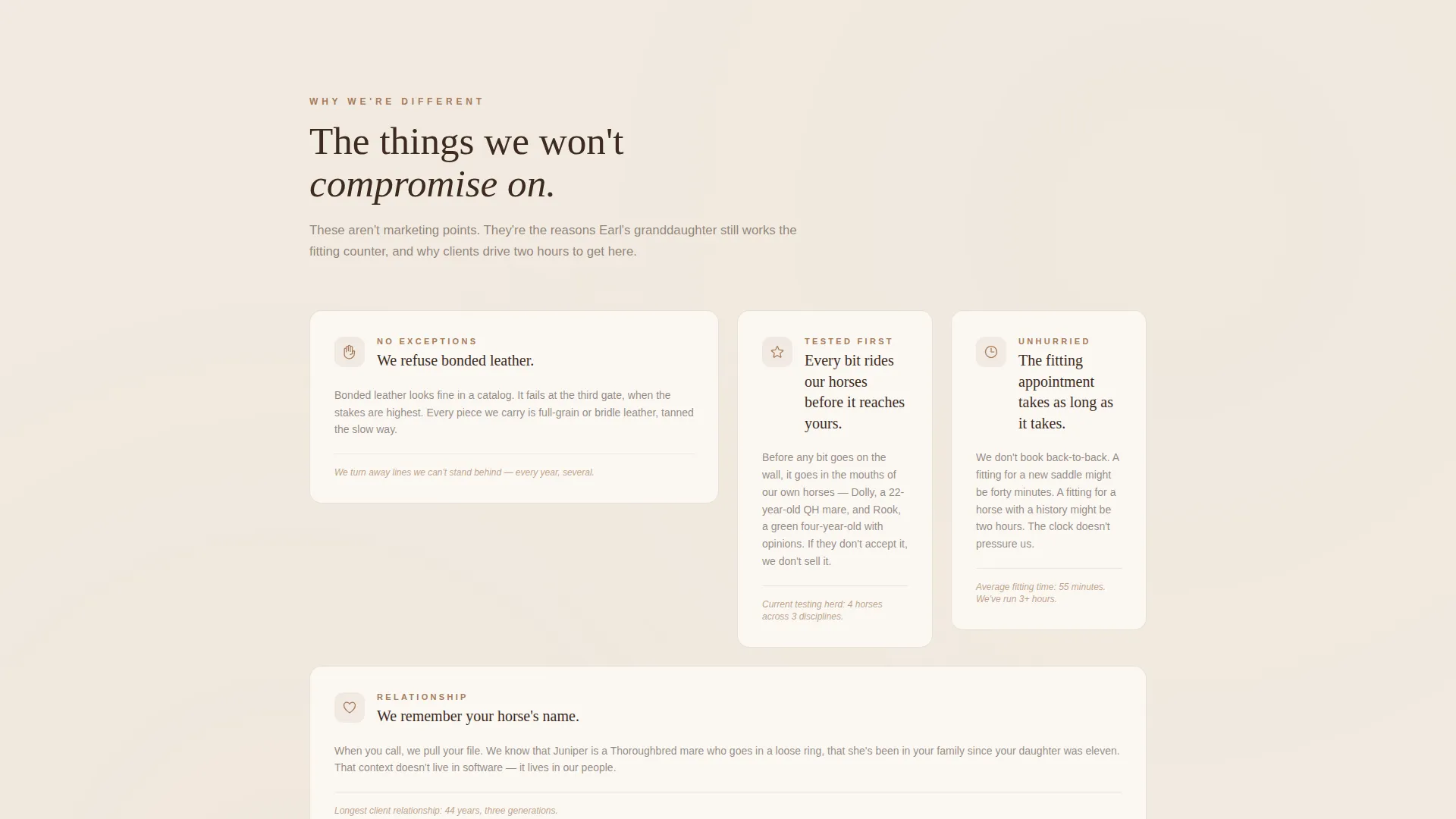 Horse Tack & Equipment Store Landing Page Template