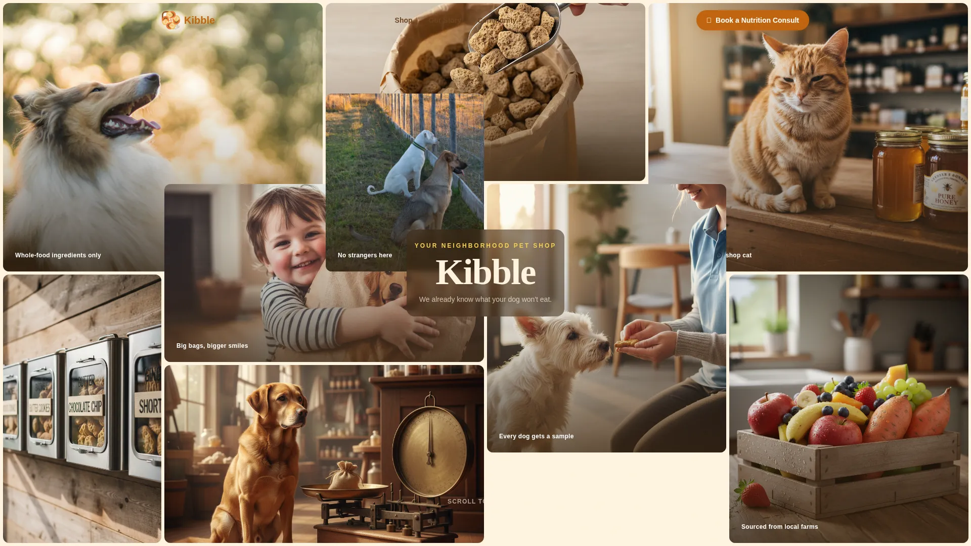 Independent Pet Store Landing Page Template
