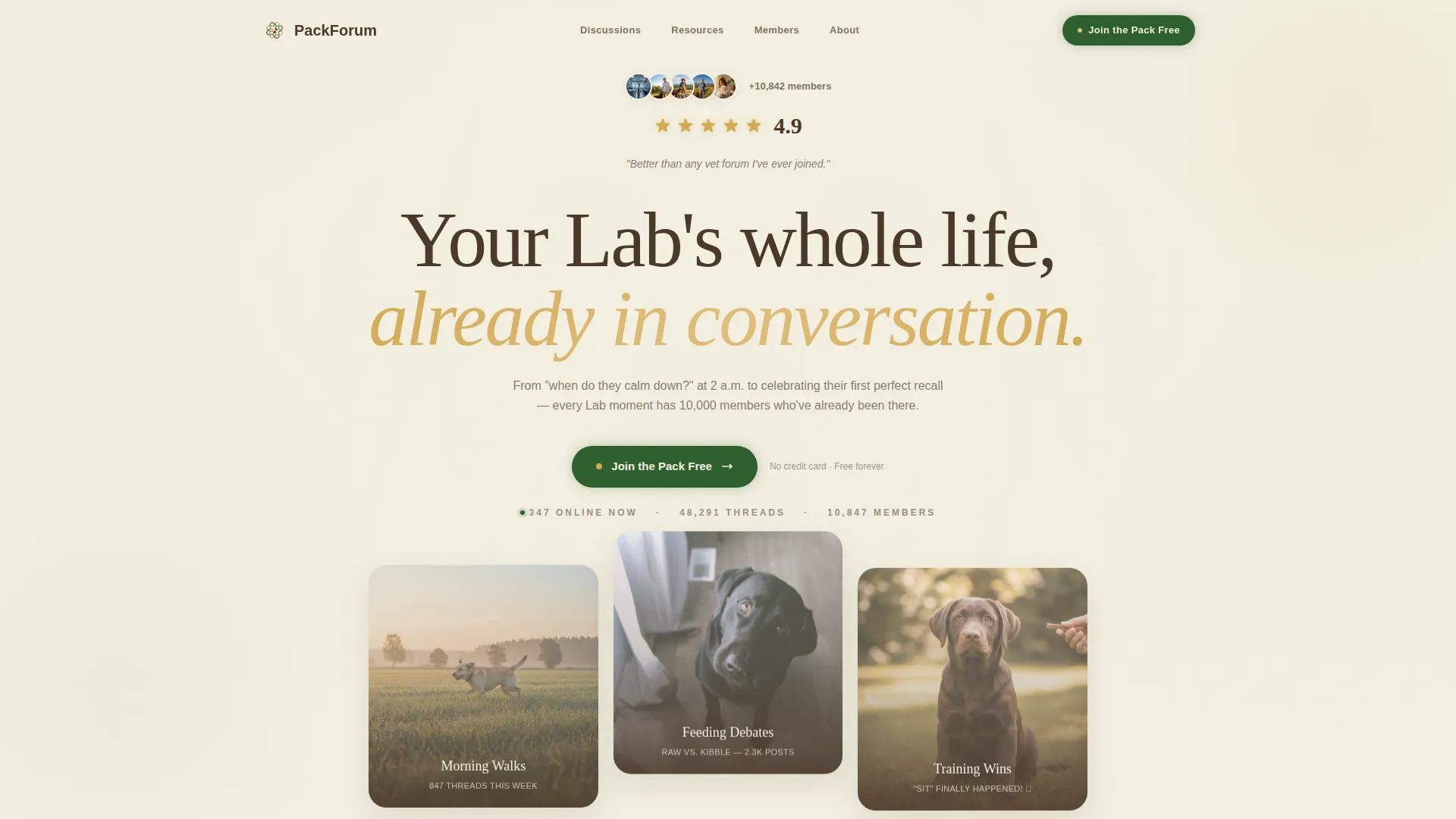 Dog Virtual Reviews Website Template