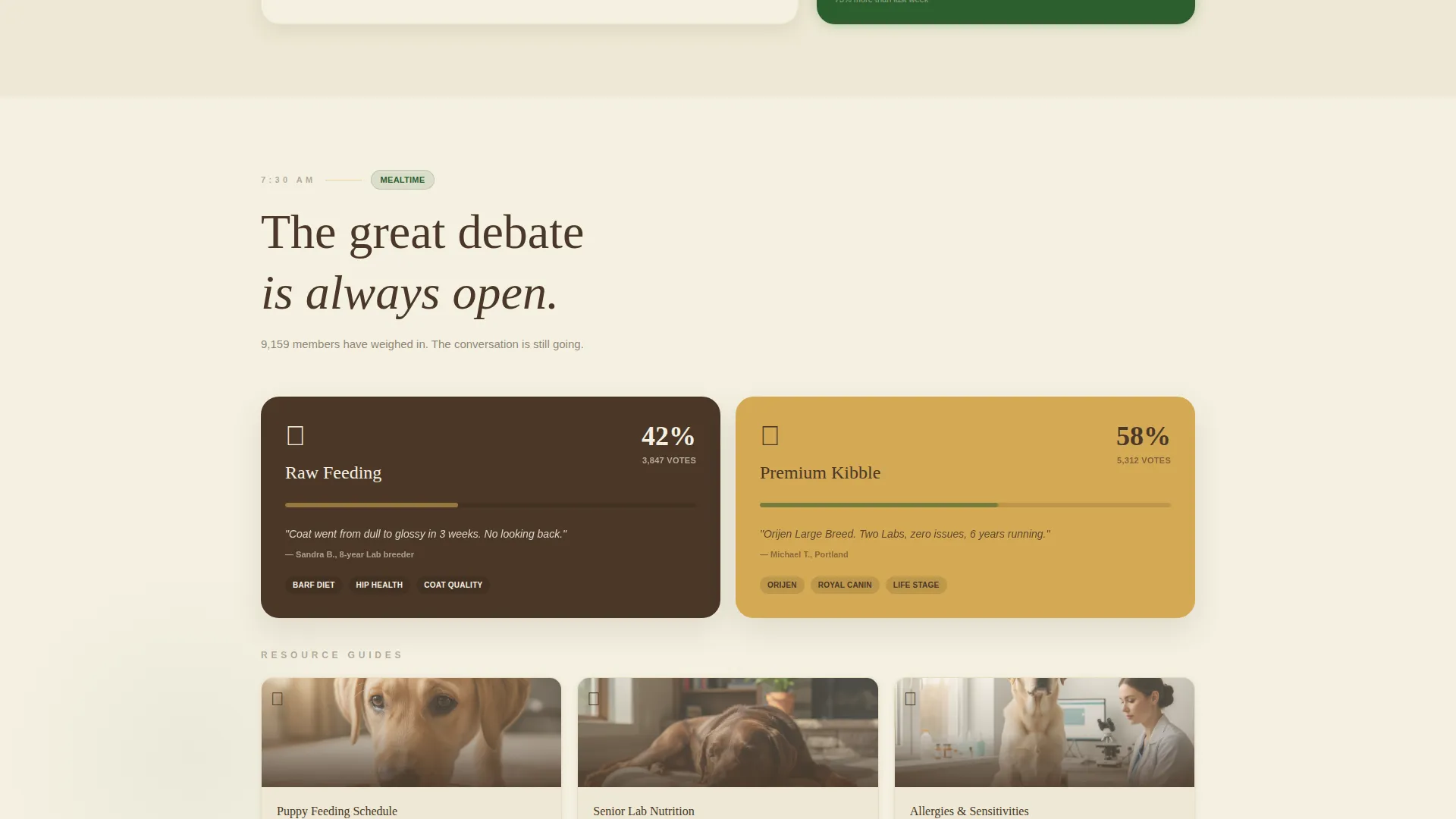 Dog Virtual Reviews Website Template
